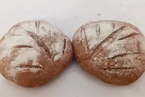 Pan 50% sarraceno