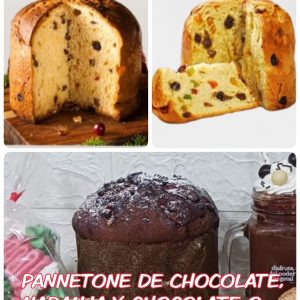 Panetonne (tamaño grande)